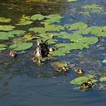 Szálloda Moulin De Vigonac 4*