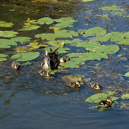 Hotel Moulin De Vigonac 4*
