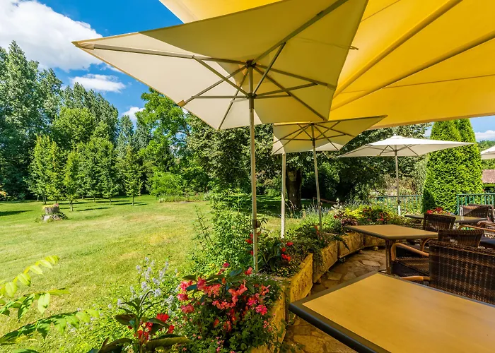 Moulin De Vigonac ホテル Valeuil