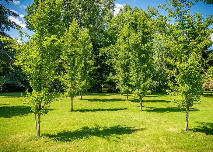 Moulin De Vigonac 4* Valeuil